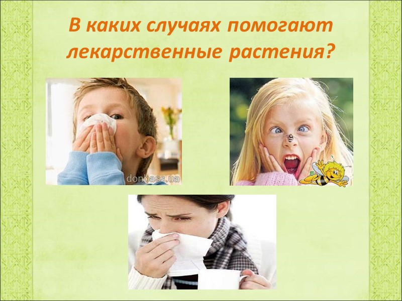 В каких случаях помогают лекарственные растения?